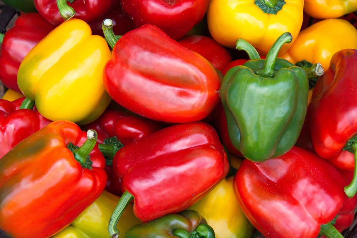 Pimientos de colores
