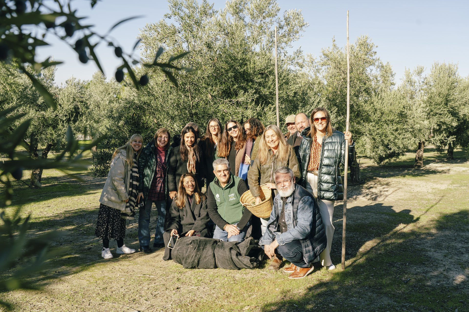 Oleícola San Francisco