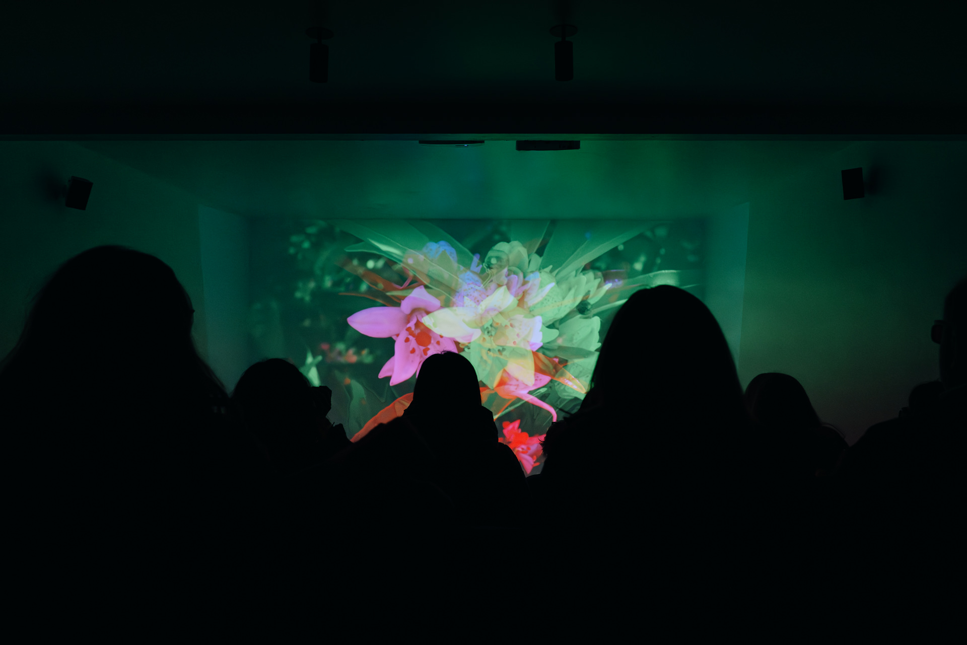 Película 3D aires de Jaén