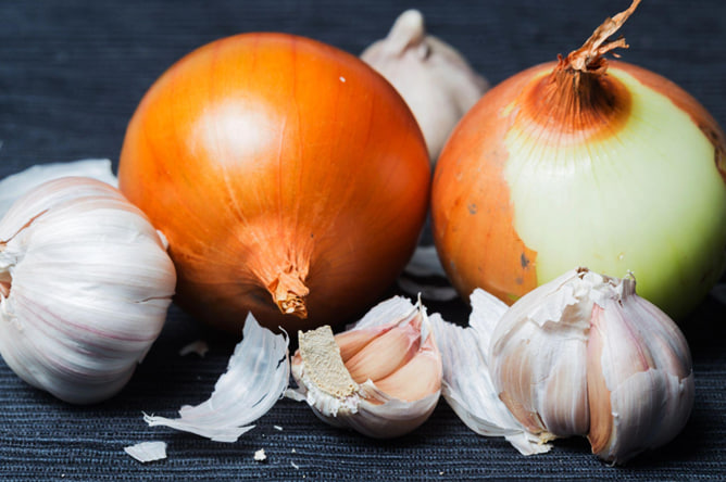 Ajo y cebolla