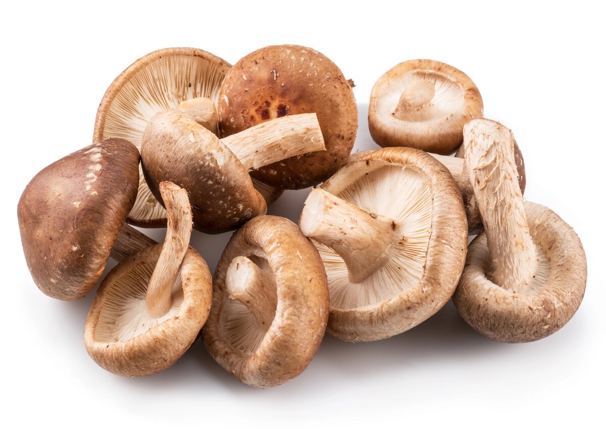Shiitake