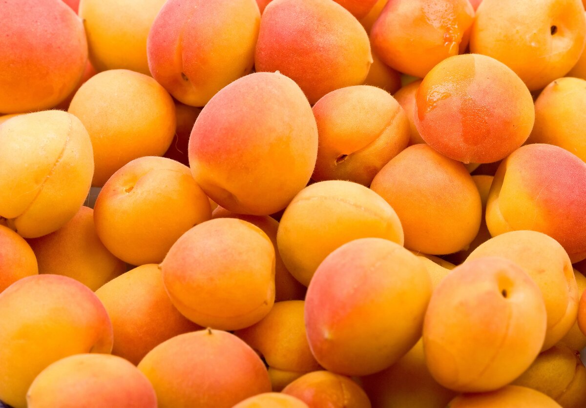 Albaricoques