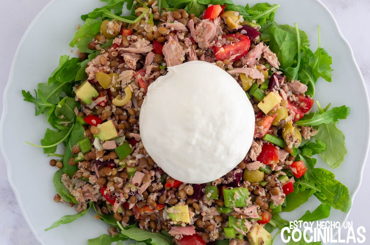 Ensalada de lentejas y burrata