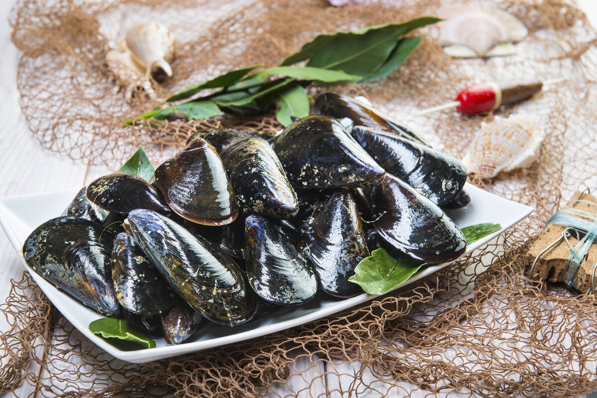 Mejillones
