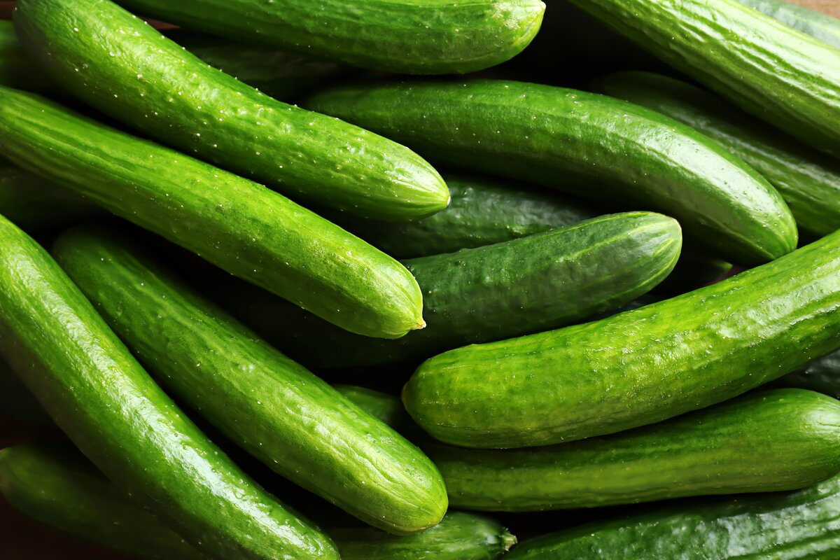Pepino