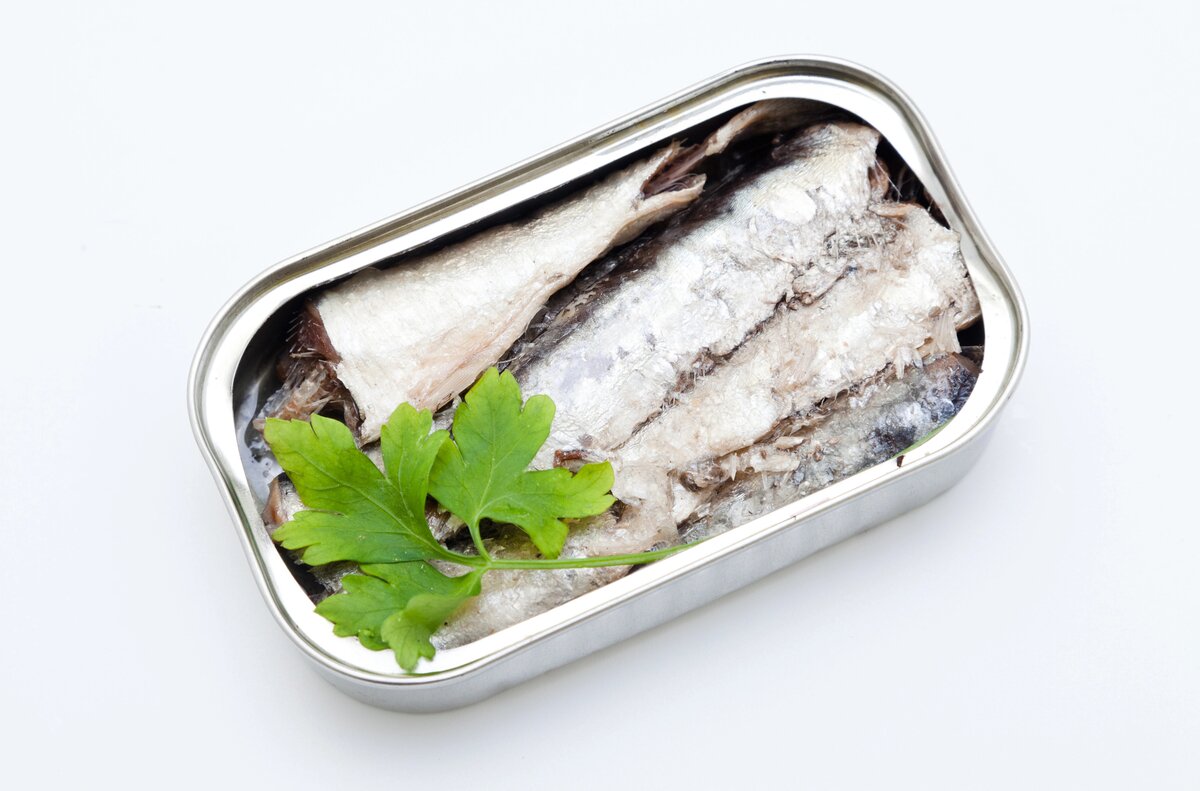 Sardinas